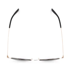 Joy Super Flat Sunglasses -Luxe Glasses Shop FG SF SN Joy GLD Overhead 30755.1673863765