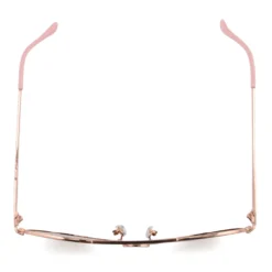 Everly Polarized For Digital -Luxe Glasses Shop FG SN POLD Everly Overhead 74340.1673259155