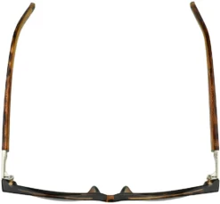 Sofia Sun Sofia Vergara® X Foster Grant® -Luxe Glasses Shop sofia 5ac6126df767023b89010b17236b9337 09417.1673290159